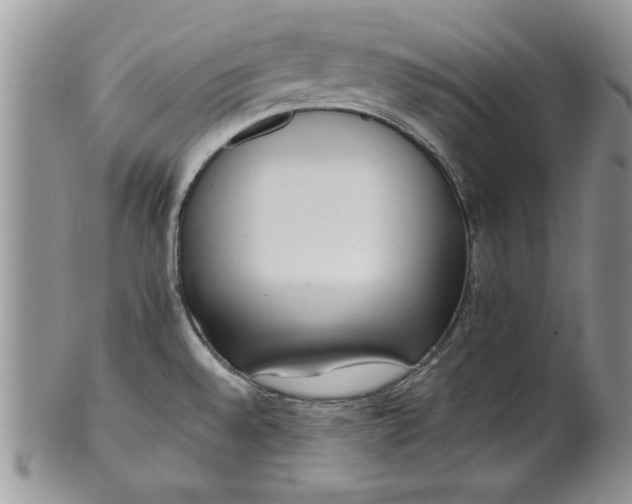 X0000101951528200808011034