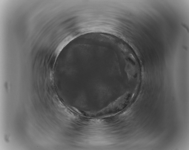 X0000101951529200808011034