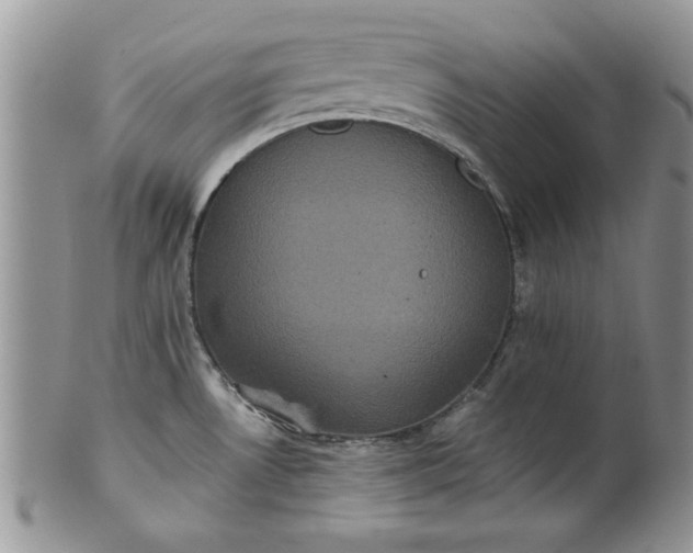 X0000101951530200808011034