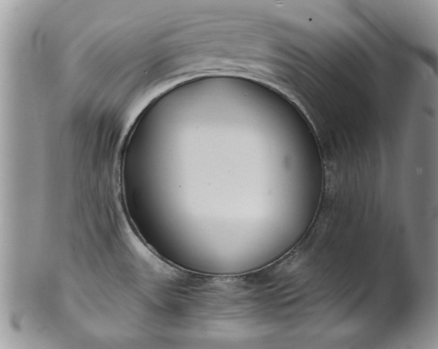 X0000101951531200808011034