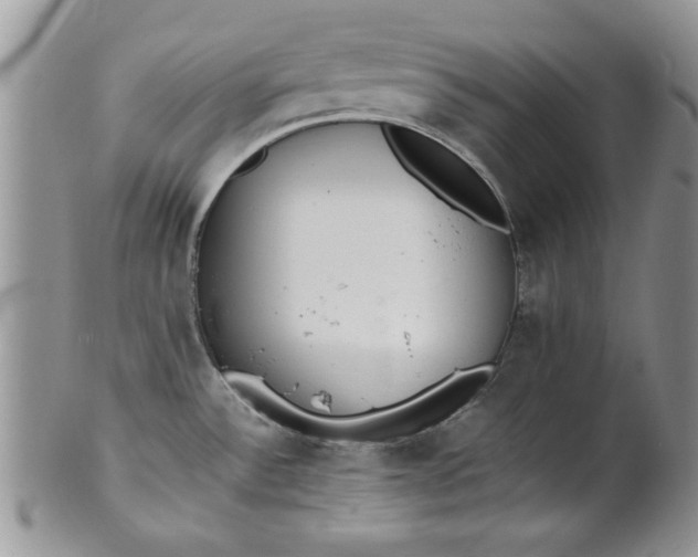 X0000101951532200808011034