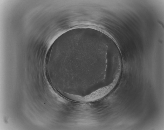 X0000101951533200808011034