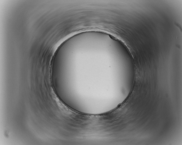 X0000101951534200808011034