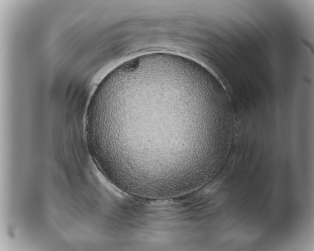 X0000101951535200808011034