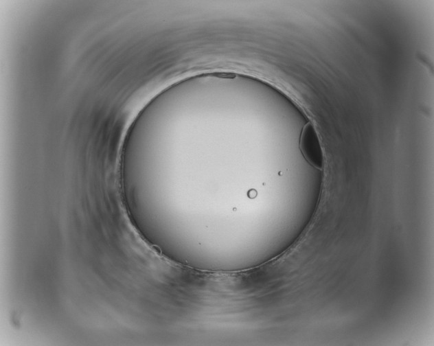 X0000101951536200808011034