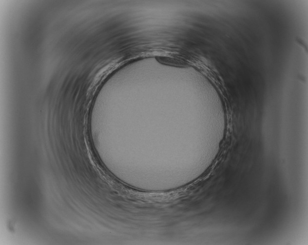 X0000101950001200808081516