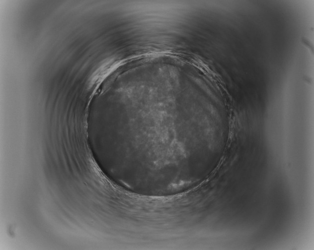 X0000101950002200808081516