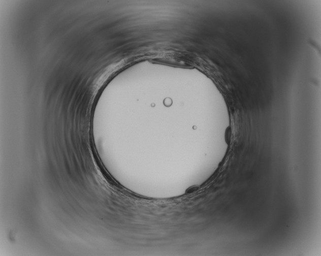 X0000101950003200808081516