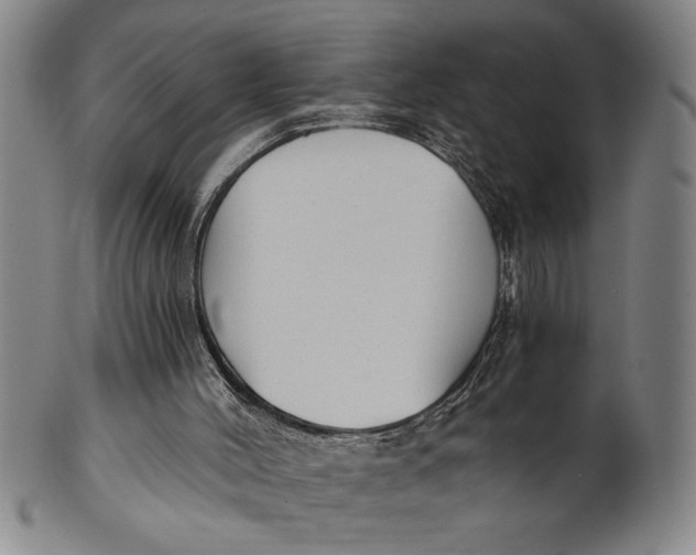 X0000101950004200808081516