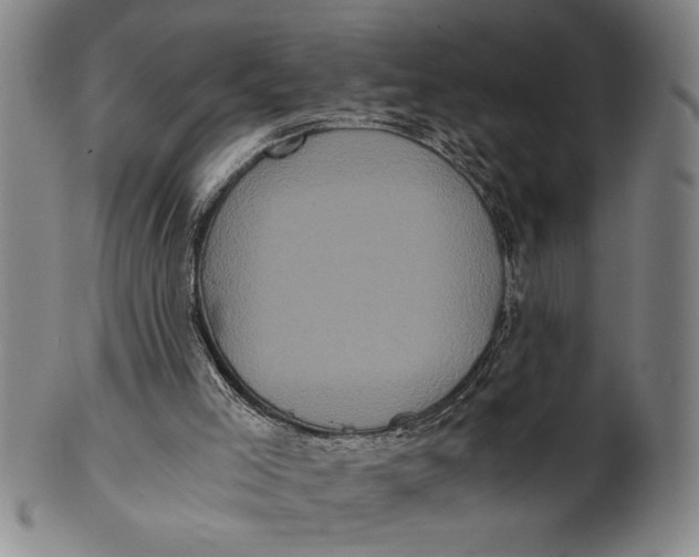 X0000101950005200808081516
