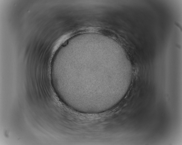 X0000101950006200808081516