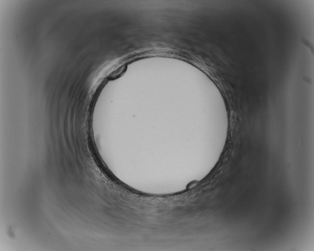 X0000101950007200808081516