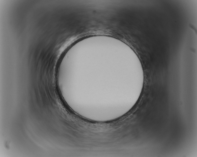X0000101950008200808081516