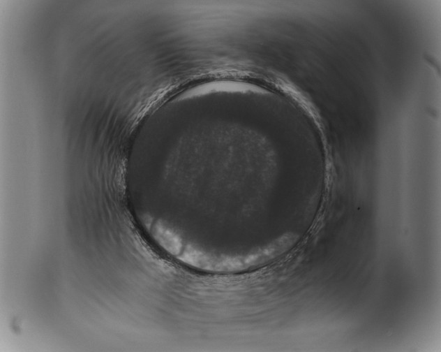 X0000101950009200808081516