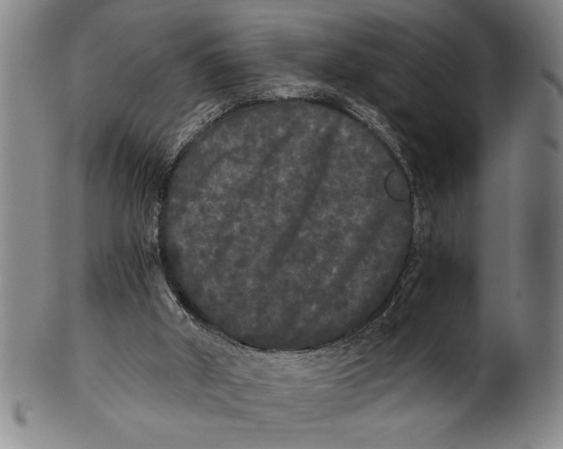 X0000101950010200808081516