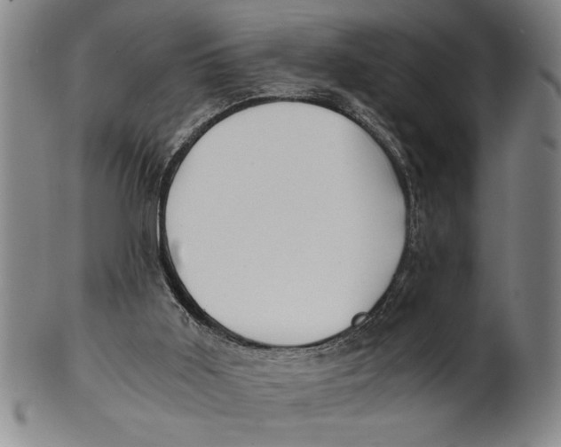 X0000101950011200808081516