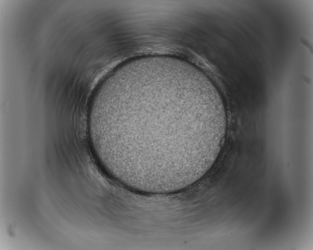 X0000101950012200808081516