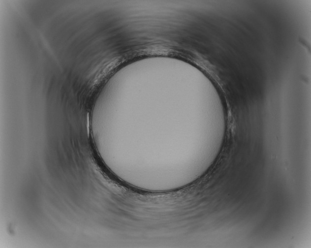 X0000101950013200808081516