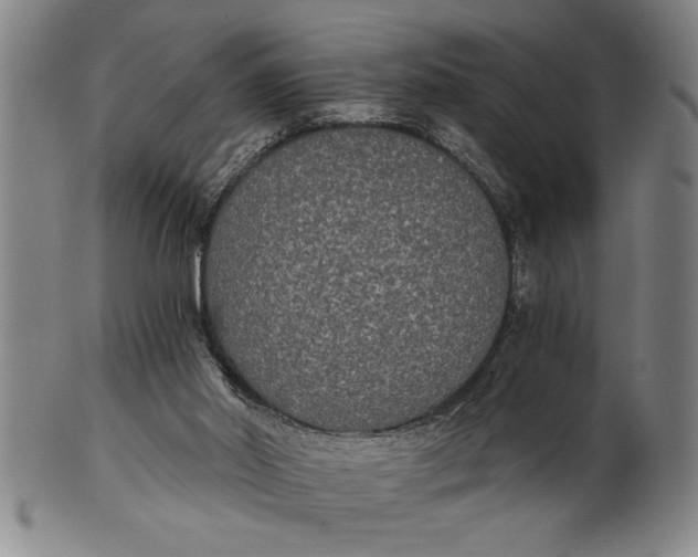 X0000101950014200808081516