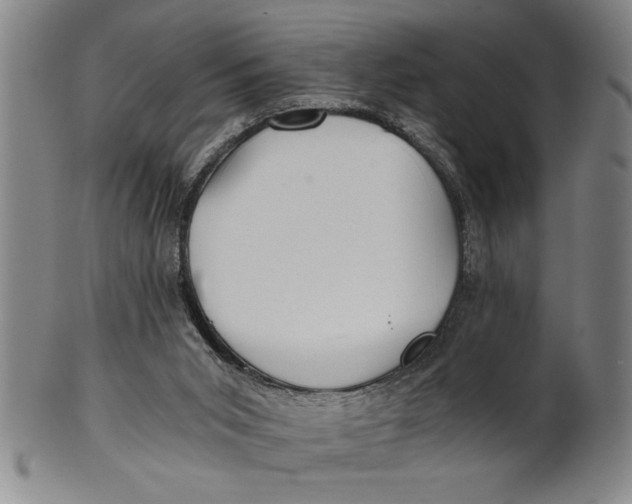 X0000101950015200808081516