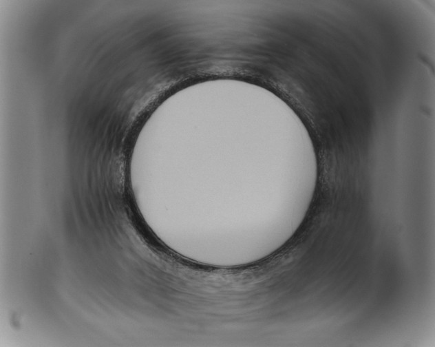X0000101950016200808081516