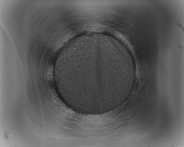 X0000101950017200808081516