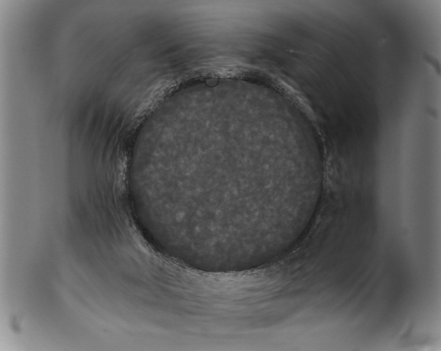 X0000101950018200808081515