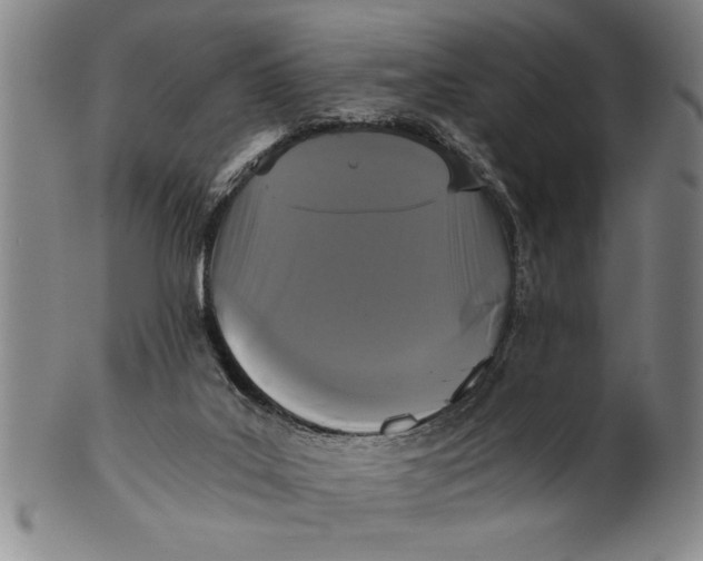 X0000101950019200808081515