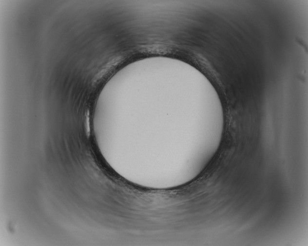 X0000101950020200808081515