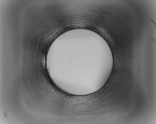 X0000101950021200808081515