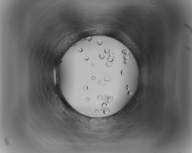 X0000101950022200808081515