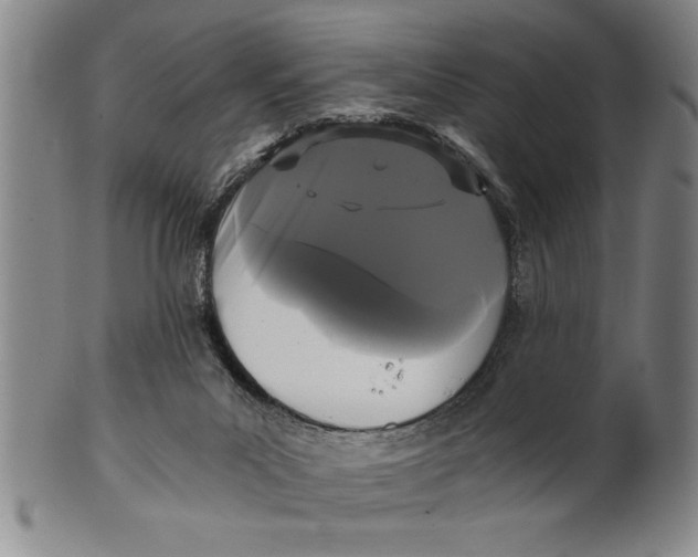 X0000101950023200808081515