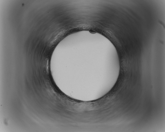 X0000101950024200808081515