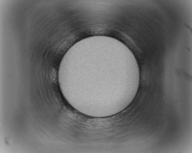 X0000101950025200808081515