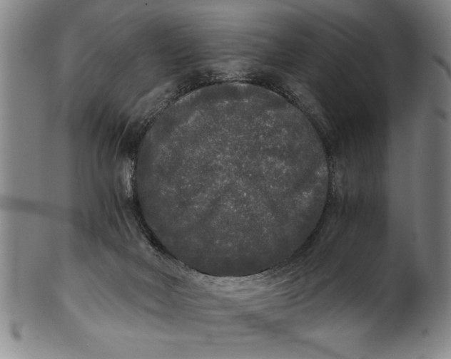 X0000101950026200808081515
