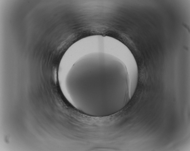 X0000101950027200808081515