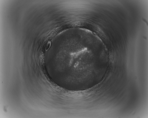 X0000101950029200808081515