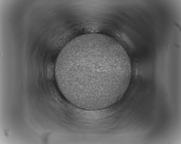 X0000101950030200808081515