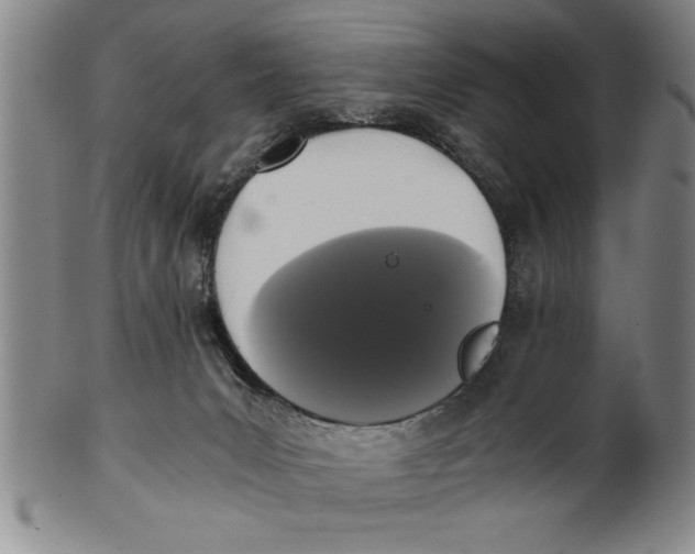 X0000101950031200808081515