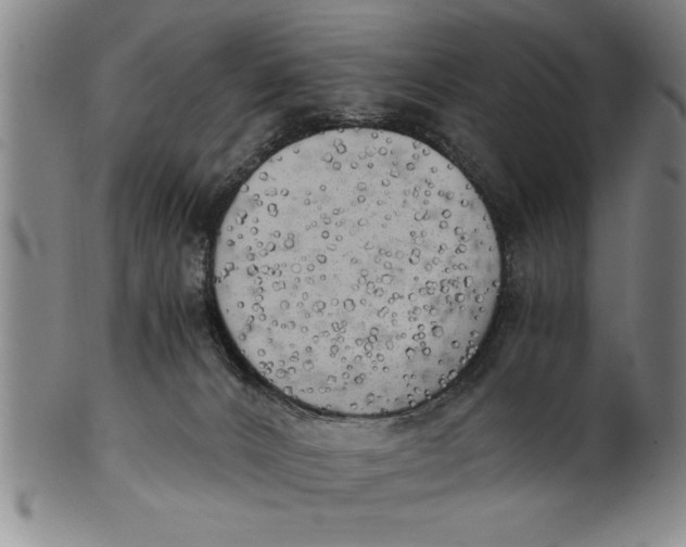 X0000101950032200808081515