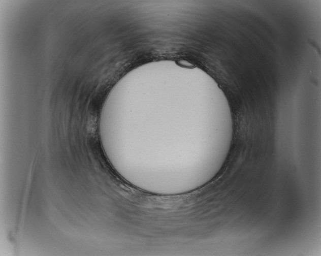 X0000101950033200808081515