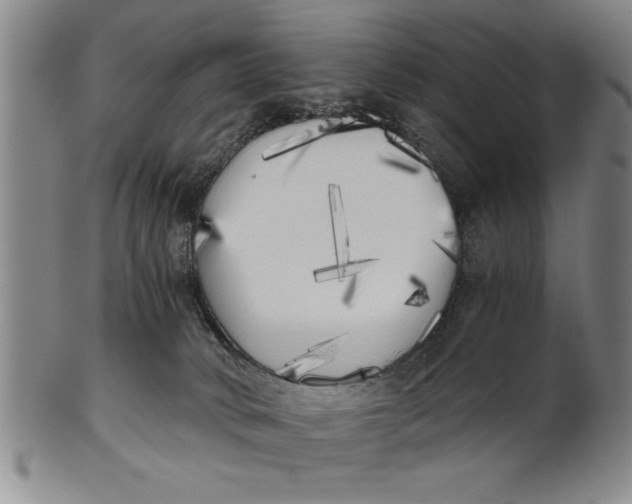 X0000101950034200808081515