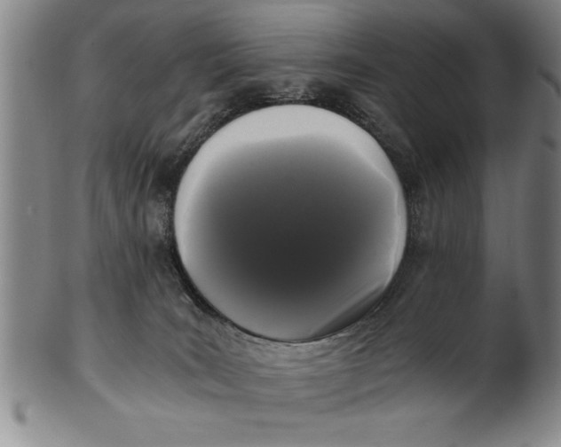 X0000101950035200808081515