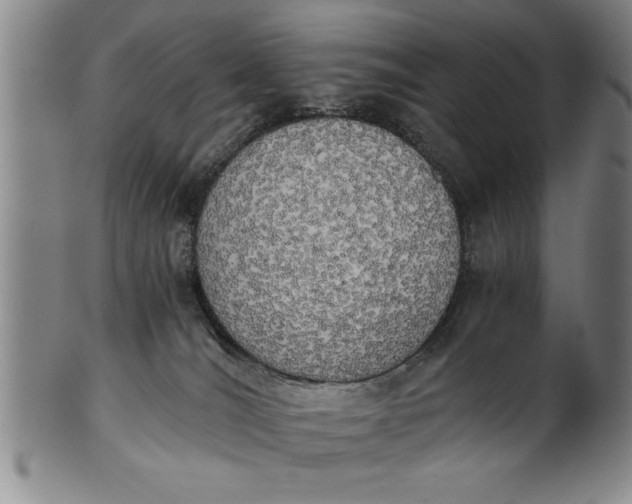 X0000101950036200808081515