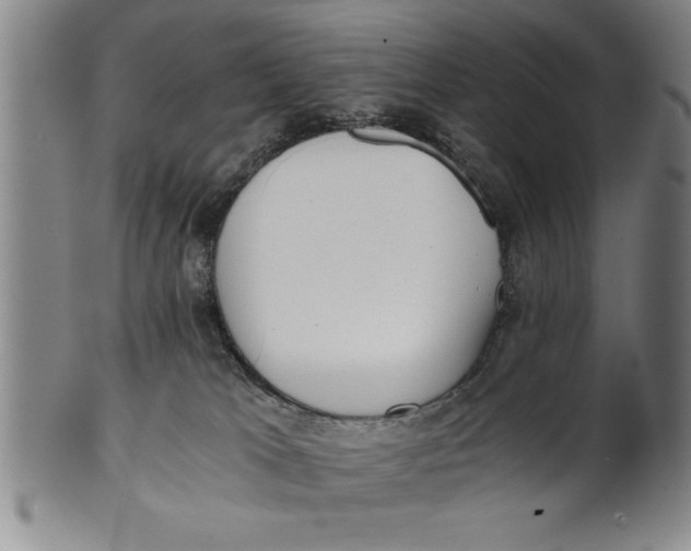 X0000101950037200808081515