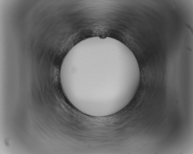 X0000101950038200808081515