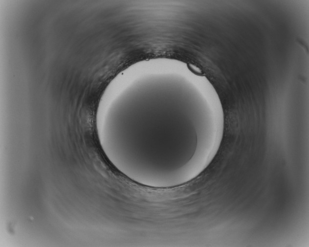 X0000101950039200808081515