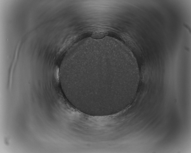 X0000101950041200808081515