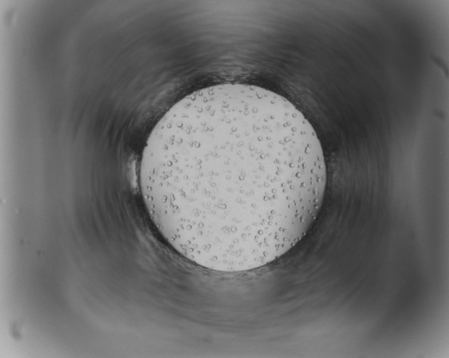 X0000101950042200808081515