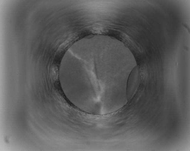 X0000101950043200808081515